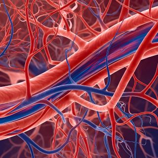 Wzmacnia naczynia krwionośne