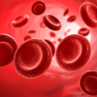 Poprawia krążenie krwi